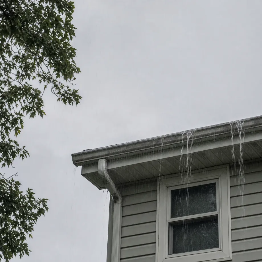 Corner of a house with light gray horizontal siding, a white-framed window and a downspout, with water overflowing from the roof edge against an overcast sky, and tree branches with green leaves at the left.