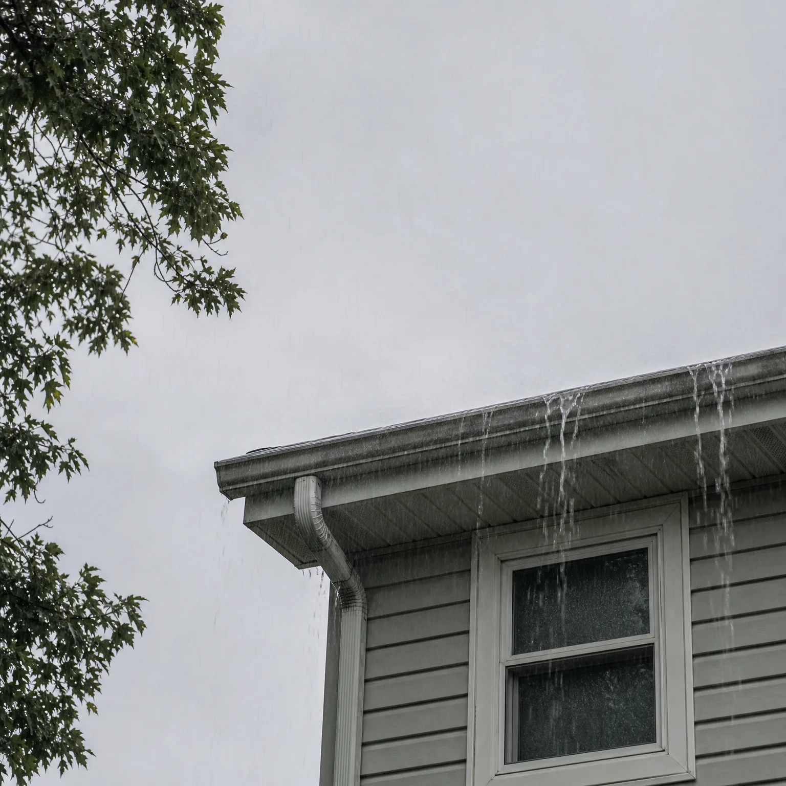 Corner of a house with light gray horizontal siding, a white-framed window and a downspout, with water overflowing from the roof edge against an overcast sky, and tree branches with green leaves at the left.