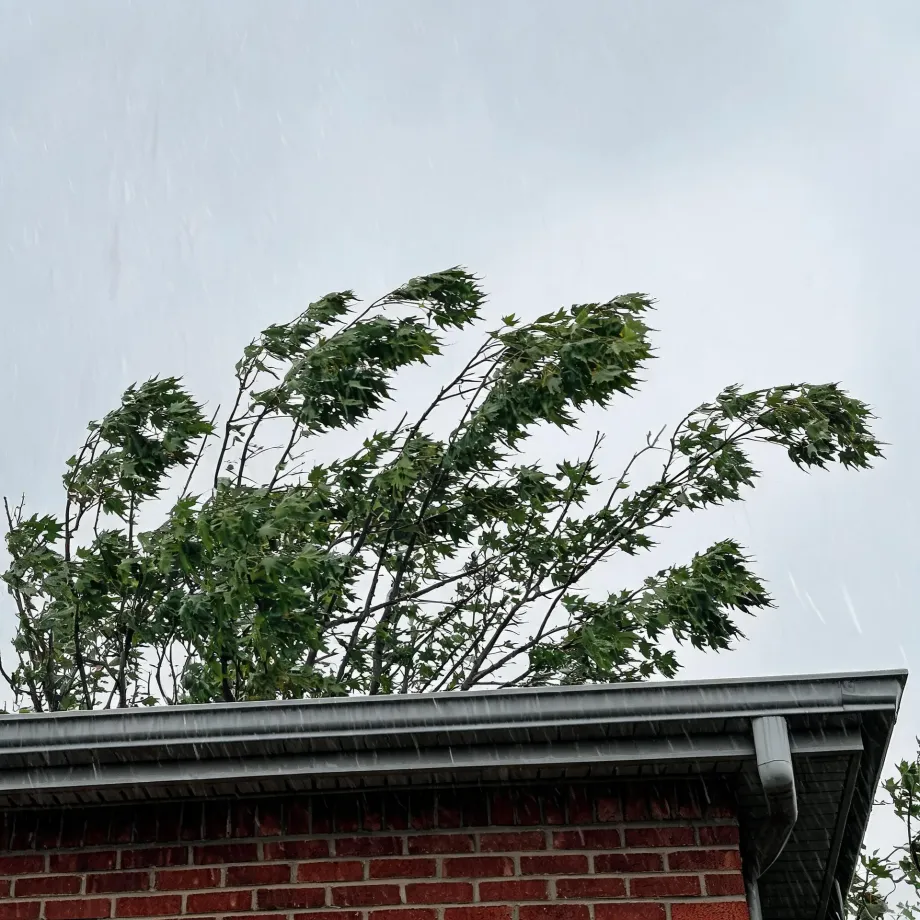 Rain streaks fall past a brick house's gabled roofline with metal gutter and downspout, while a leafy tree behind the roof bends in the wind under an overcast sky.
