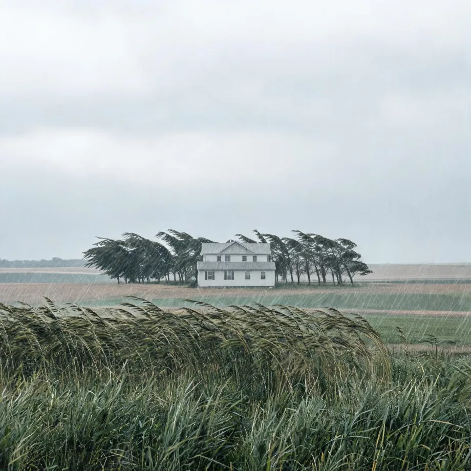A white two-story house with a row of wind-bent trees behind it stands in flat farmland under a grey overcast sky, with tall grasses bending in the foreground and streaks of rain across the frame.