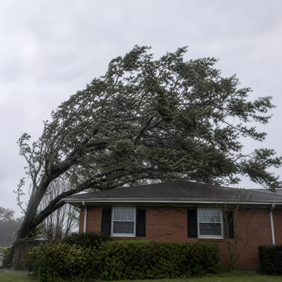 A large leaning tree with wind-blown branches arches over a single-story red brick house with black shutters and trimmed hedges under an overcast gray sky.