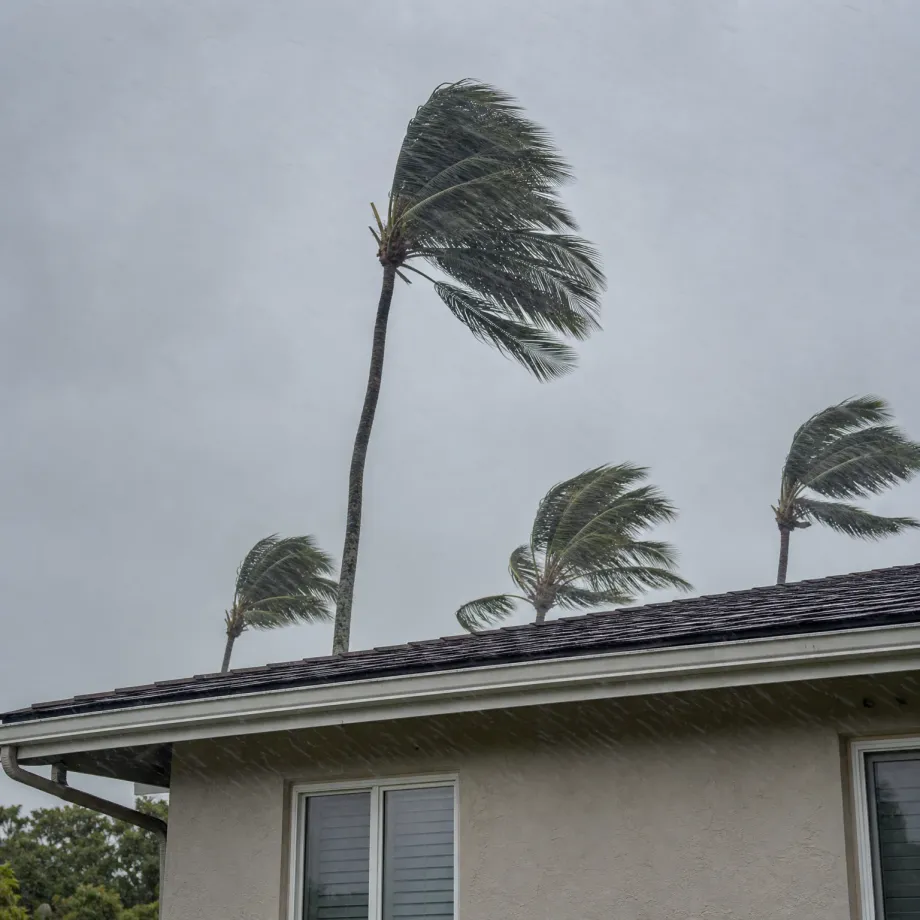 Palm trees bending in strong wind and rain against a grey sky above the tiled roof and stucco wall of a single-story house.