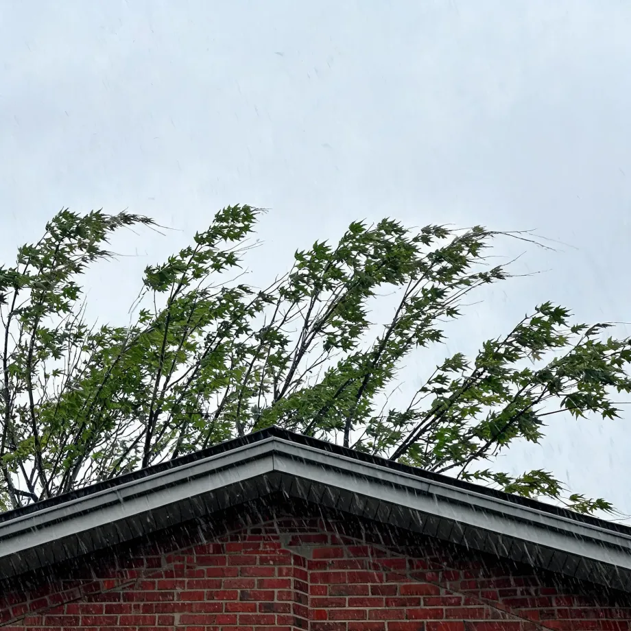 The gabled roof peak and red brick wall of a building seen from below during rainfall, with a wind-blown green leafy tree behind it against a pale gray sky.