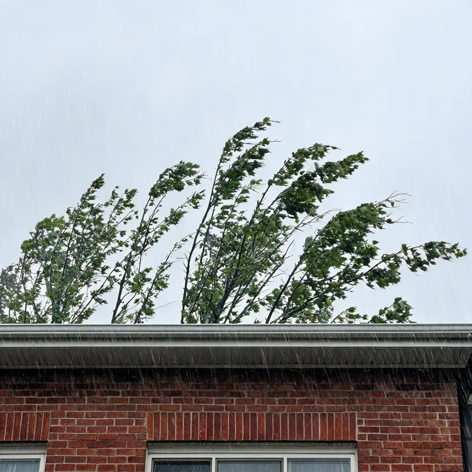 Rain falls past the upper facade of a red brick building with a white gutter and eaves, while wind bends leafy trees behind the roofline against a pale grey sky.
