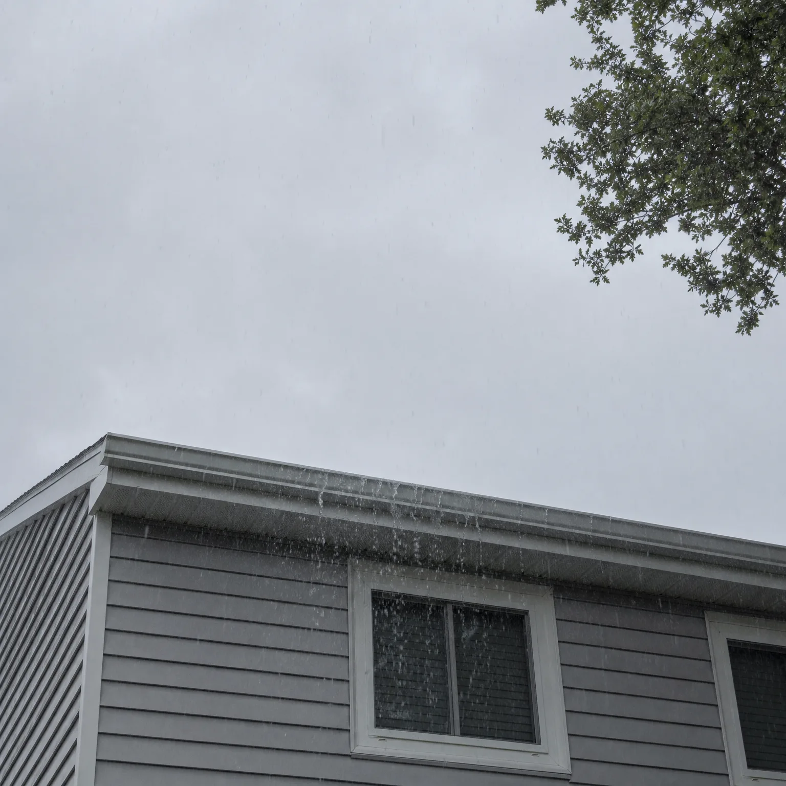 Upward view of the upper corner of a gray horizontal-siding house with white trim and windows, water streaming from the roof edge against an overcast sky, with tree branches at the top right.