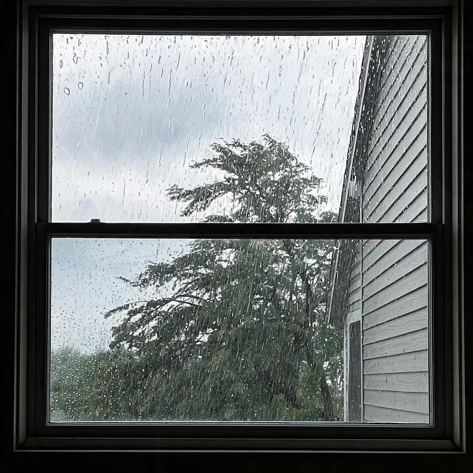 View through a rain-streaked double-hung window of a large green tree, an overcast sky, and the horizontal lap siding of an adjacent building.