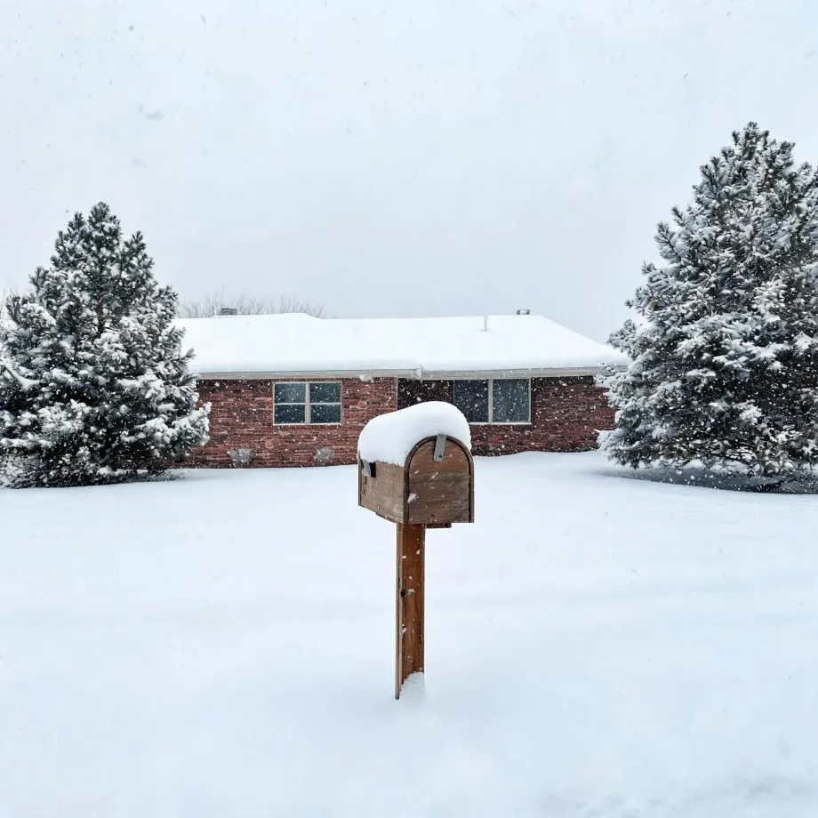 A snow-covered wooden mailbox on a post stands in a deep snowy yard in front of a single-story brick house flanked by two snow-laden evergreen trees under a pale overcast sky with falling snowflakes.