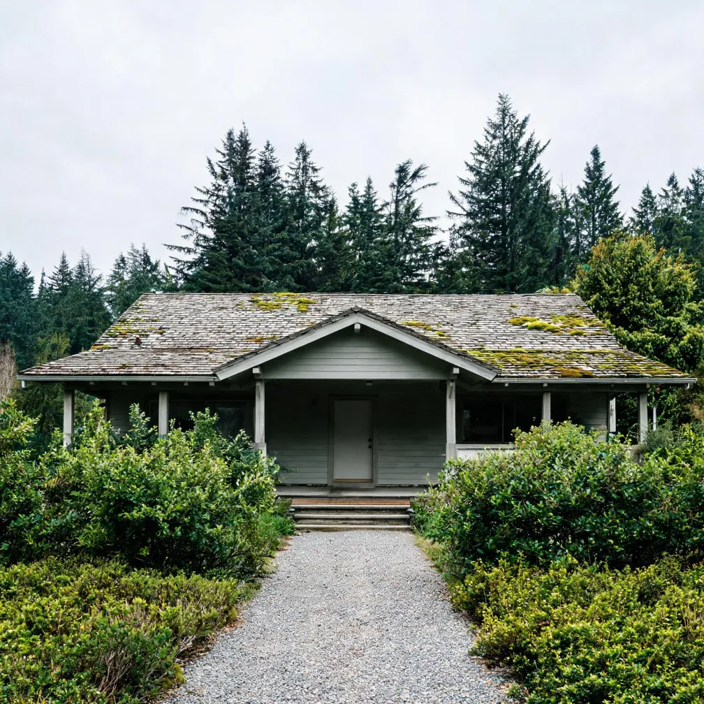 A single-story wood house with a moss-covered shingled roof and covered porch, approached by a gravel path between green shrubs, with tall conifers behind it under an overcast sky.
