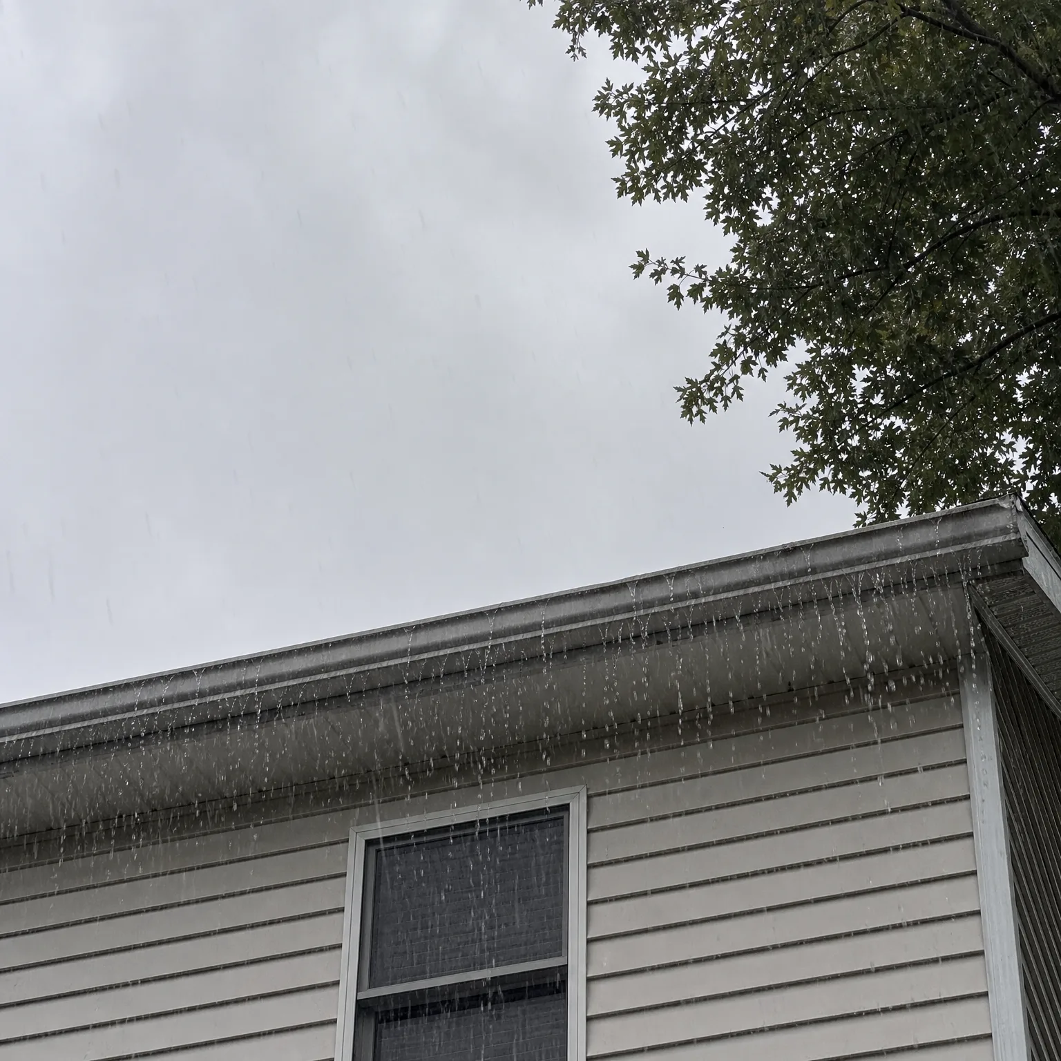 Upward view of the gable end and gutter line of a house with light horizontal vinyl siding, with water streaming off the overflowing gutter against an overcast sky and tree branches at the upper right.