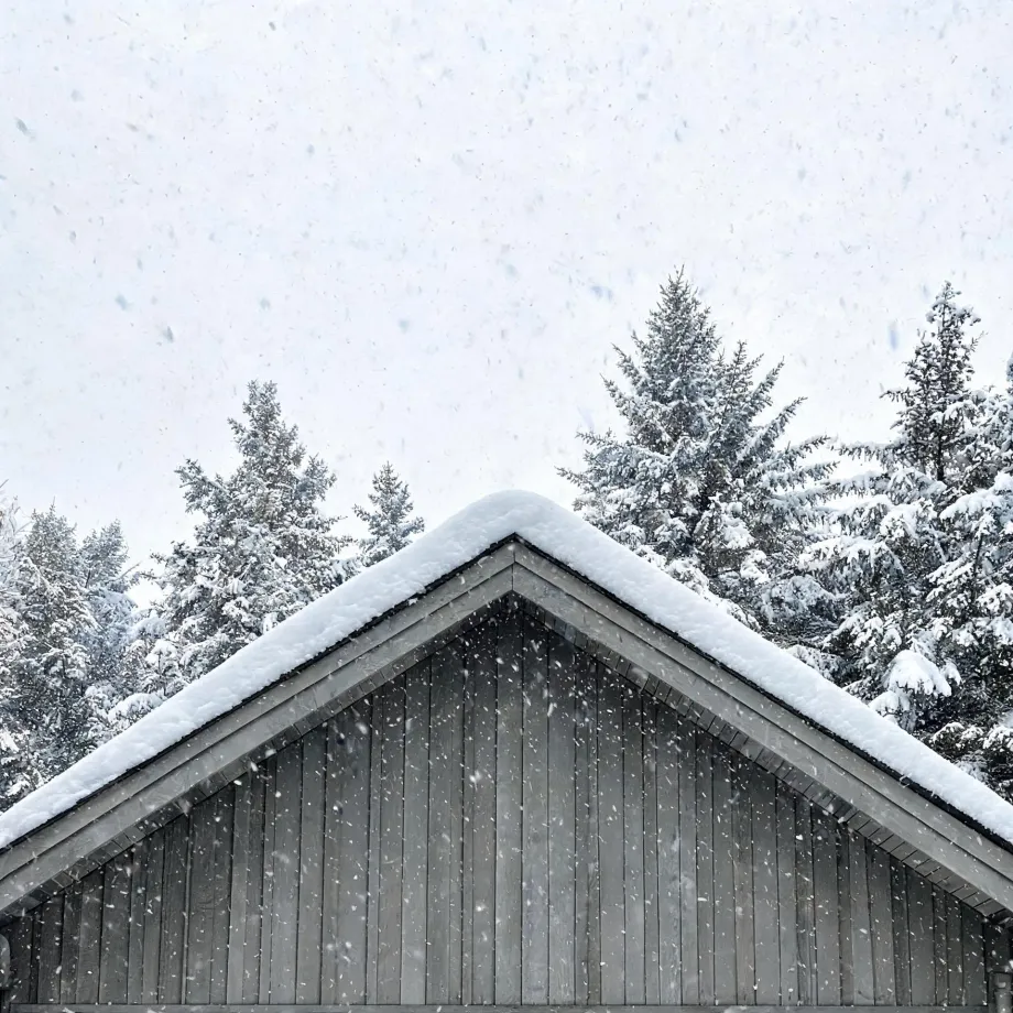 The snow-covered gable roof and vertical wood-clad upper wall of a building, with snow-laden conifers and falling snow behind it under a pale sky.