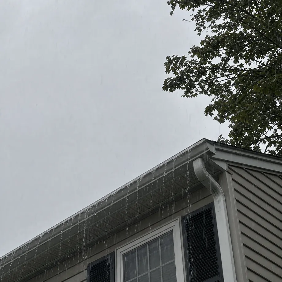 Upward view of the roofline and gutter of a vinyl-sided house with water overflowing along the gutter edge during rain, with a leafy tree branch against an overcast grey sky.
