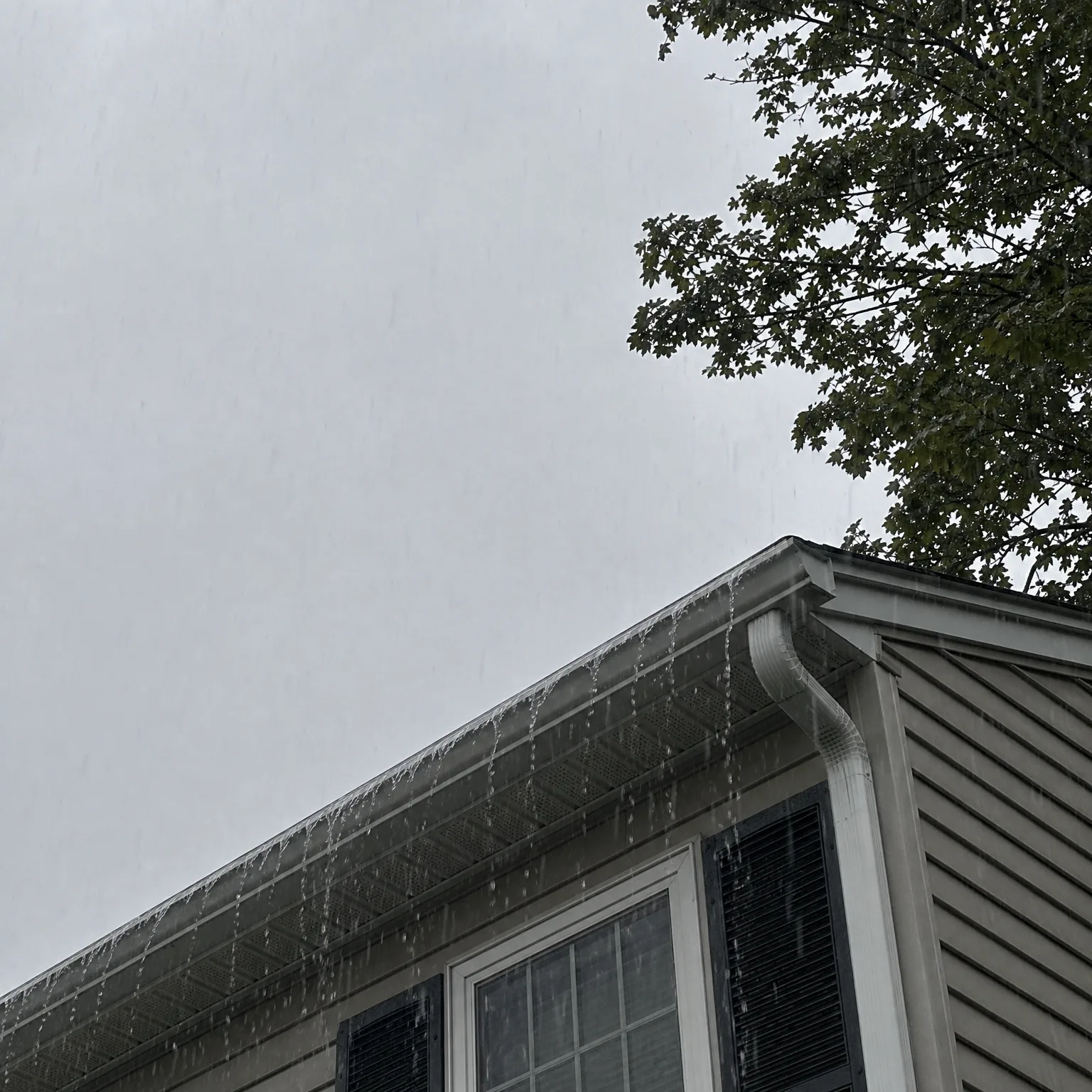 Upward view of the roofline and gutter of a vinyl-sided house with water overflowing along the gutter edge during rain, with a leafy tree branch against an overcast grey sky.