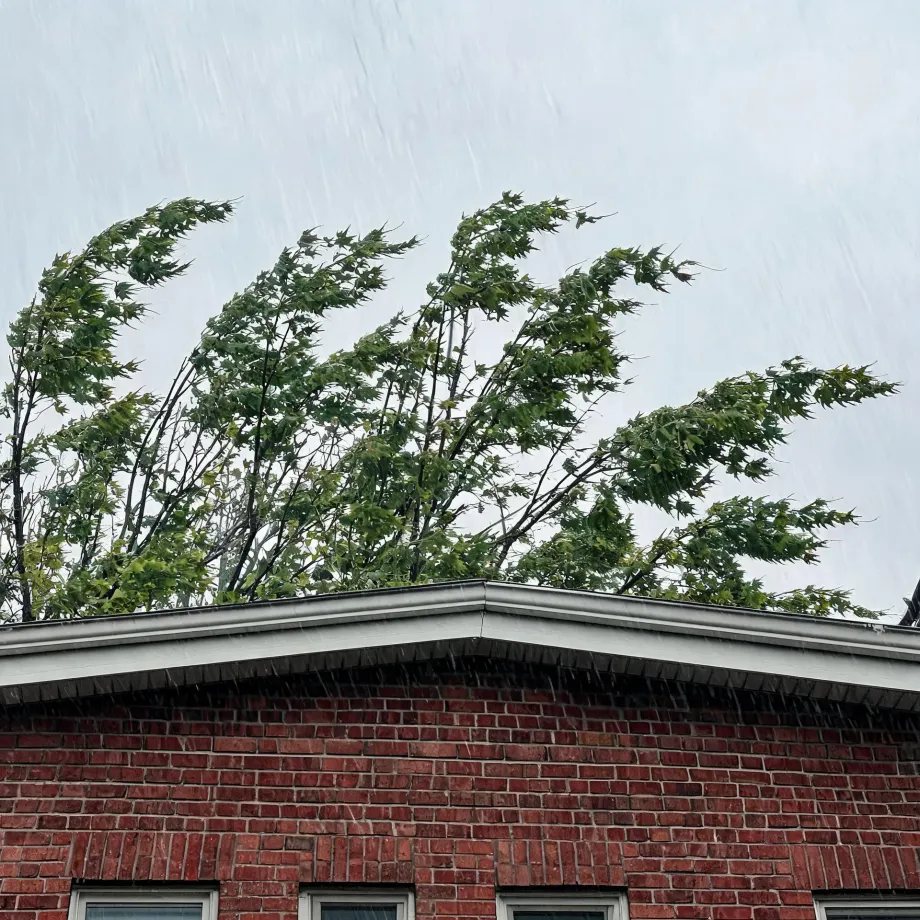 Upper gable of a red brick house with white trim and gutters, photographed from below during rain, with a wind-blown green leafy tree behind it against a pale grey sky.