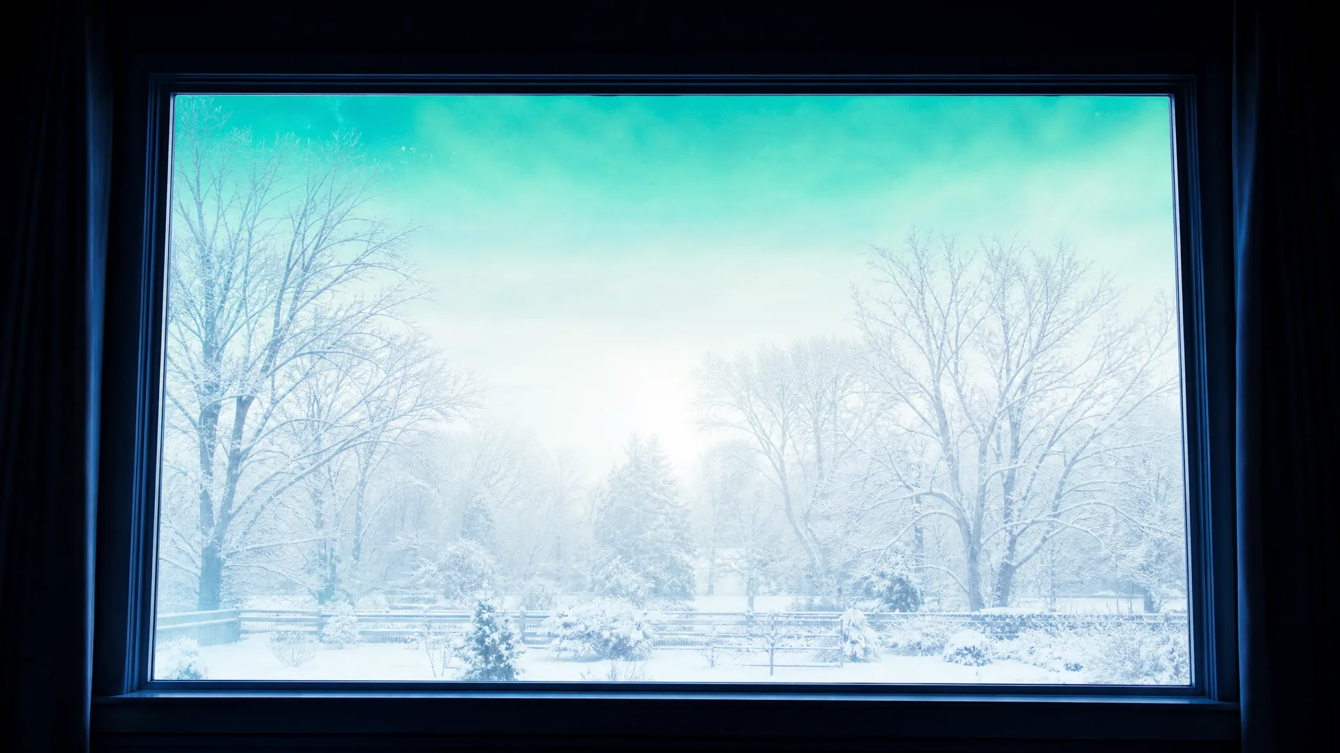 View through a large window from a dark interior onto a bright snow-covered yard with bare trees, evergreens and a fence under a teal-tinted sky.