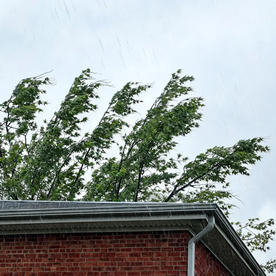 Upper corner of a red brick house with a shingled roof, gutter and downspout, seen from below against an overcast sky with visible rain streaks, while green leafy tree branches behind the roof bend in the wind.