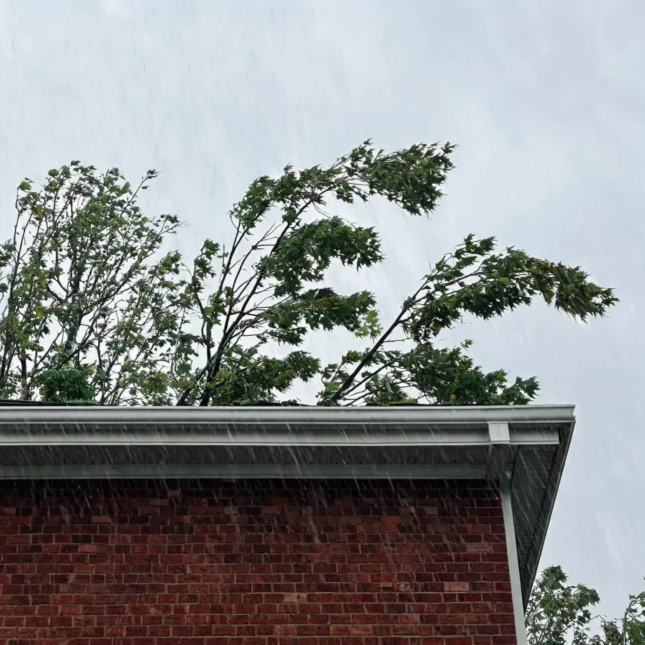 Heavy rain falls past the roofline and white gutter of a red brick building, with wind-blown green tree branches against an overcast gray sky.