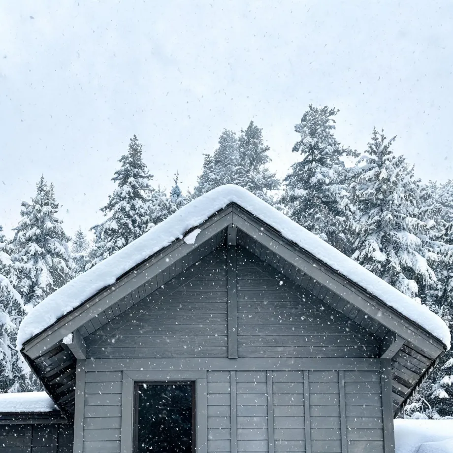 Gable end of a gray wood-clad cabin with a snow-covered roof, falling snowflakes, and snow-laden conifer trees behind it under a pale overcast sky.