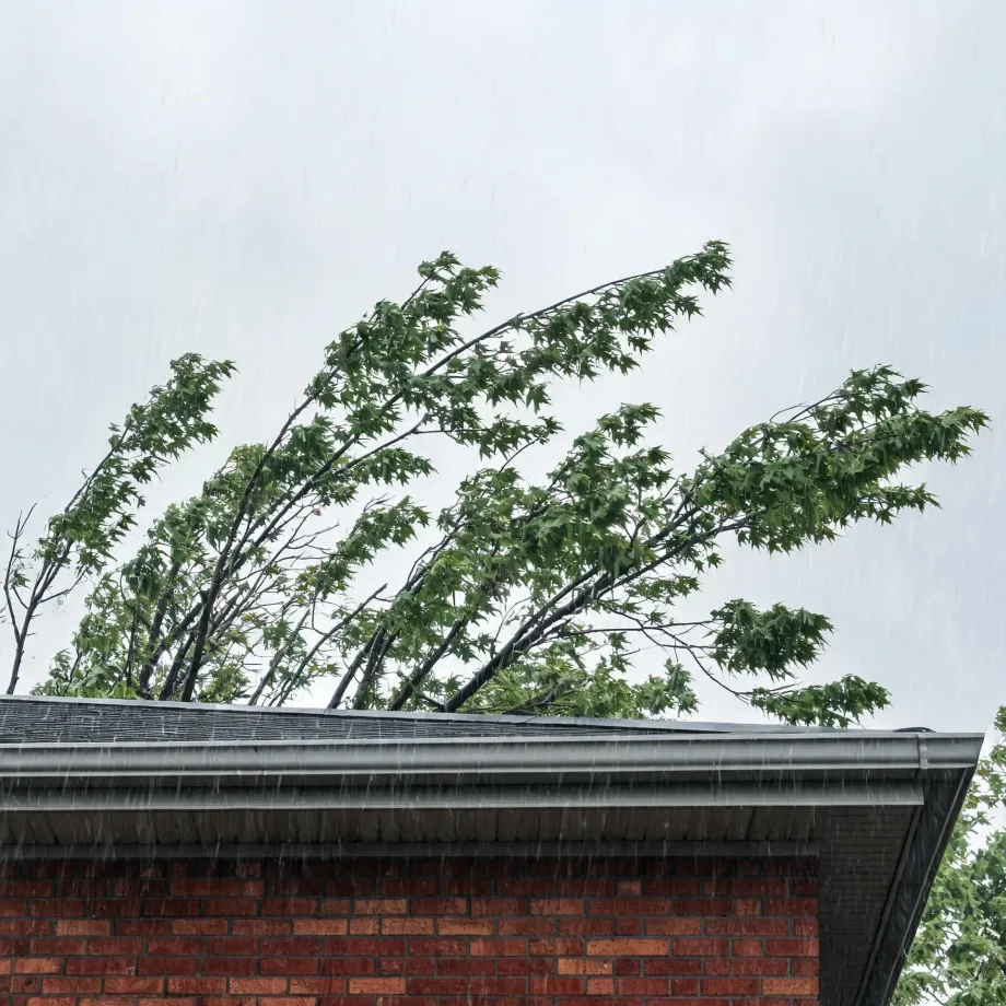 Rain falls past the gabled roofline and gutter of a red brick house while wind bends a leafy tree behind it against an overcast sky.