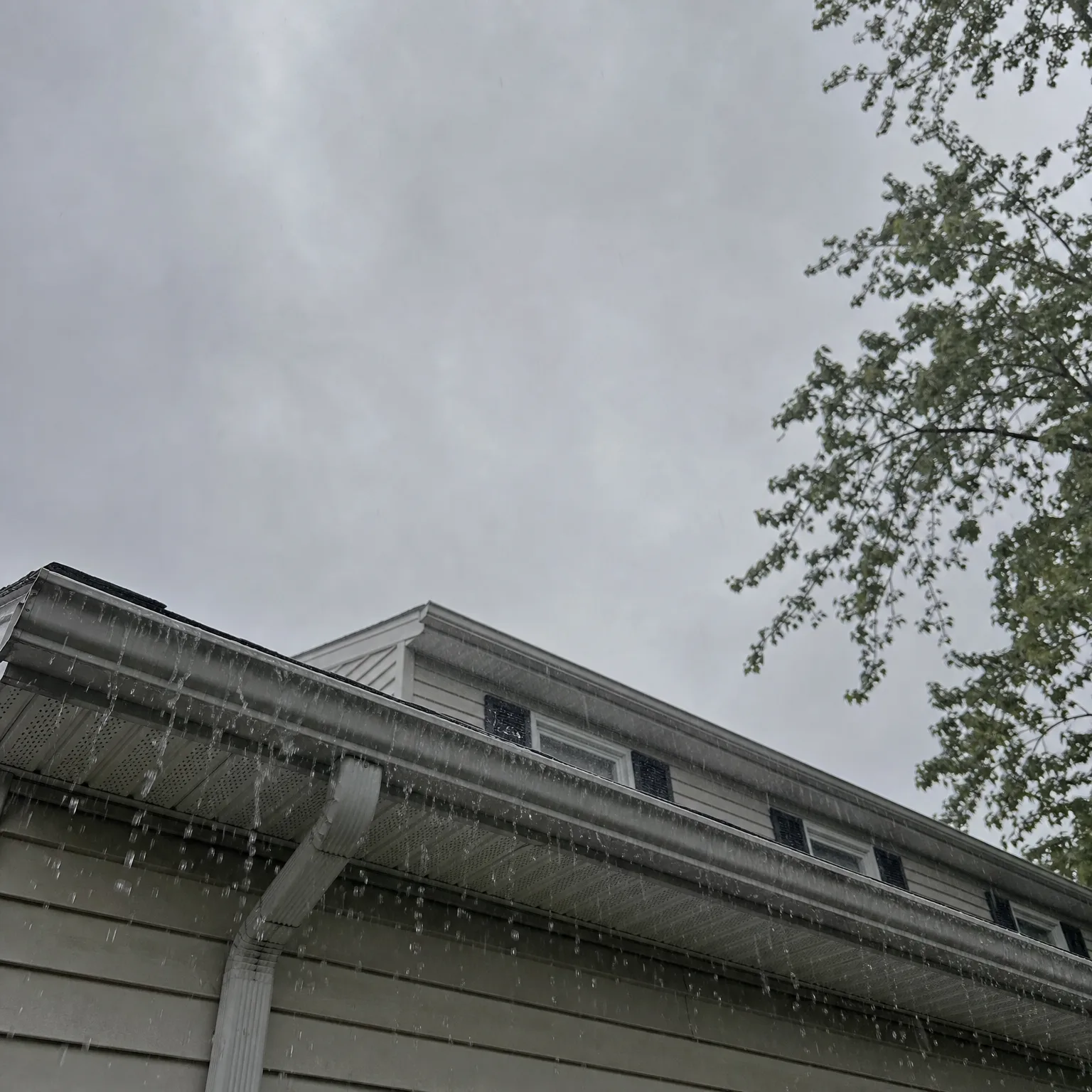 Upward view of the roofline and gutter of a light-colored horizontal-sided house with water dripping from the eaves under an overcast sky, with a leafy tree branch at upper right.