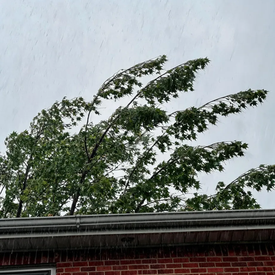 Heavy rain streaks fall past wind-blown green tree branches above the gutter and roofline of a red brick building under an overcast sky.