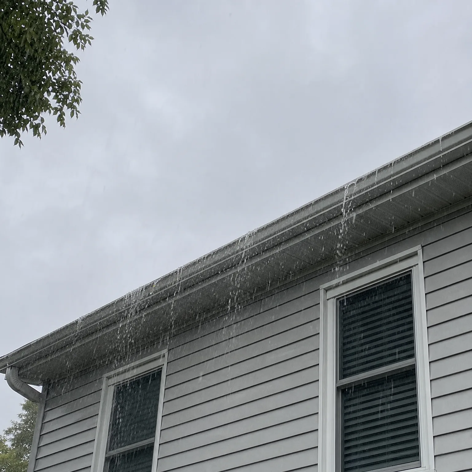 Water overflowing from the gutter along the eave of a light gray vinyl-sided house with two white-framed windows, seen from below against an overcast sky with tree branches at upper left.