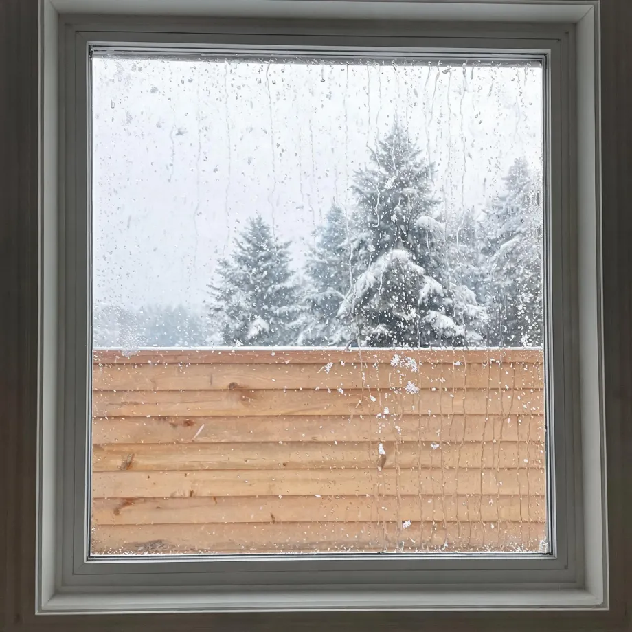 View through a water-droplet-covered window of a light wood fence and snow-covered evergreen trees under a pale overcast sky.