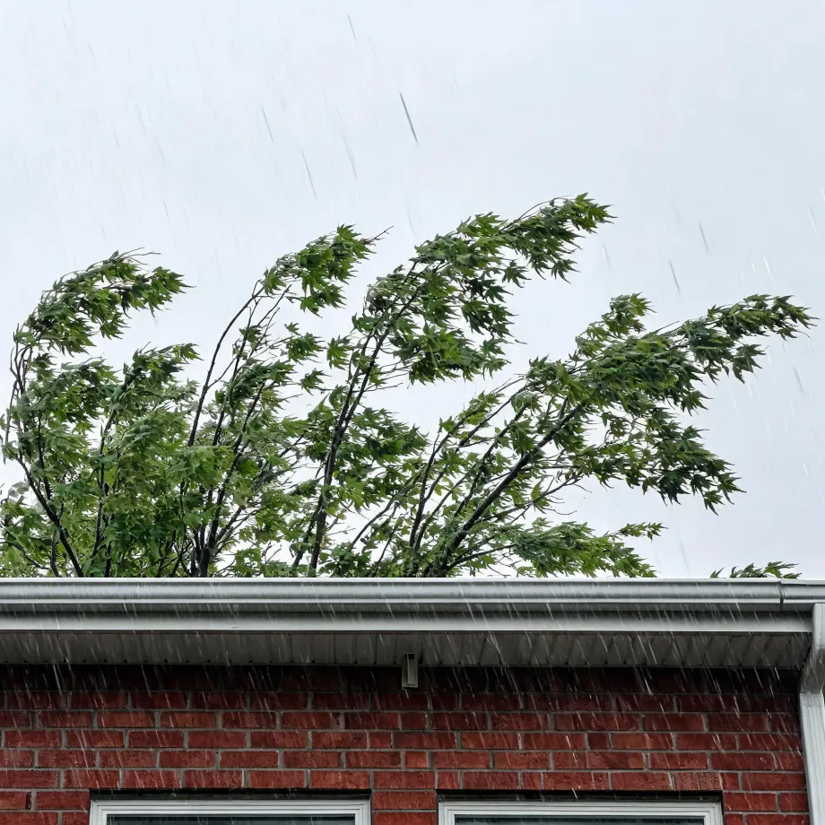 Rain falls past a green maple tree bending in wind above the white gutter and soffit of a red brick house with window tops visible at the bottom.