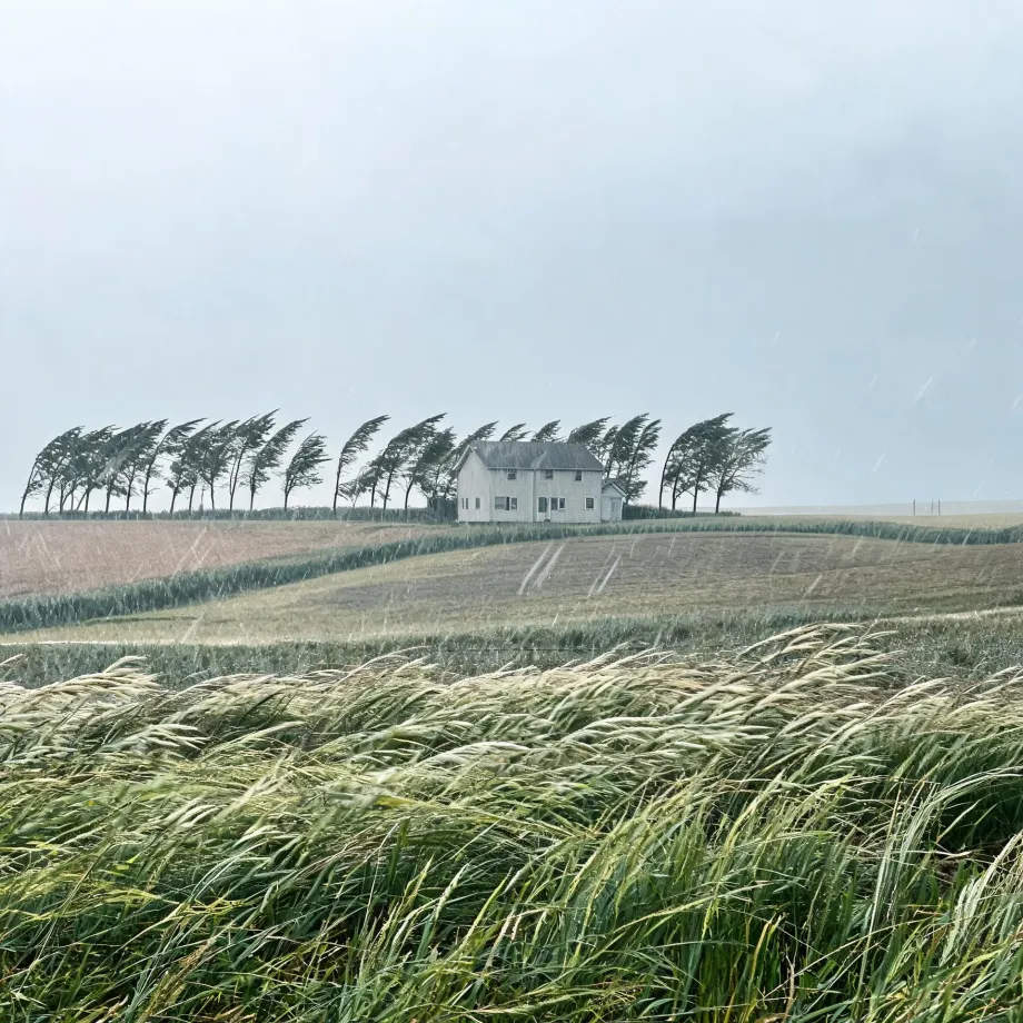 A white two-story house on a low rise behind a row of wind-bent trees, with fields and tall grass blowing sideways in the foreground under a pale overcast sky with visible rain streaks.