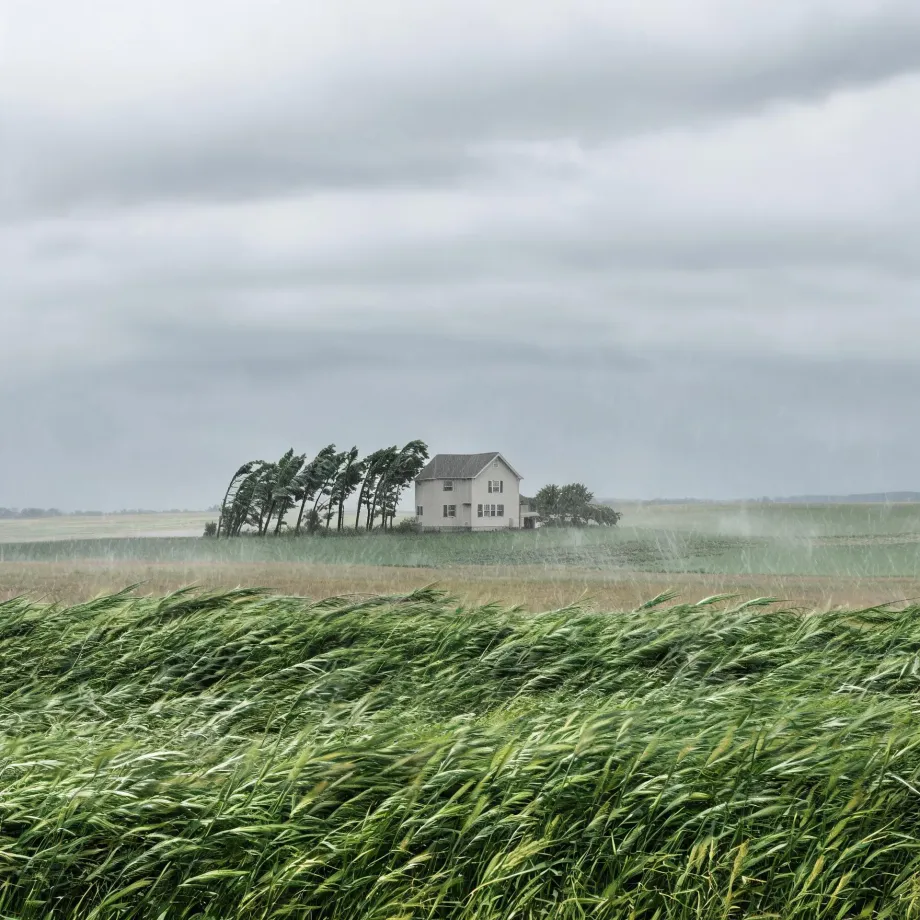 A two-story white house with a gray roof stands beside wind-bent trees in a flat field, with tall green grass blown sideways in the foreground under a heavy gray overcast sky and streaks of rain.