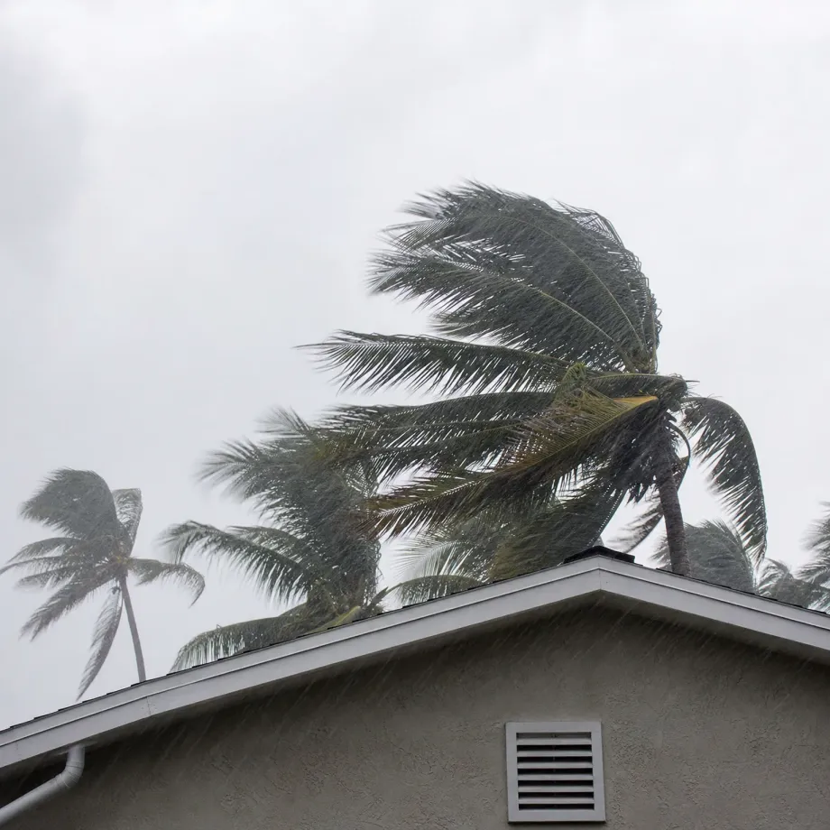 Palm trees bending in strong wind and rain above the stucco gable end of a house with a louvered vent, under an overcast white sky.