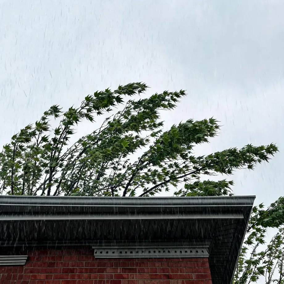 Rain falls against a pale grey sky over the corner of a brick building with a dark overhanging eave and dentil trim, while wind bends a leafy tree behind the roofline.