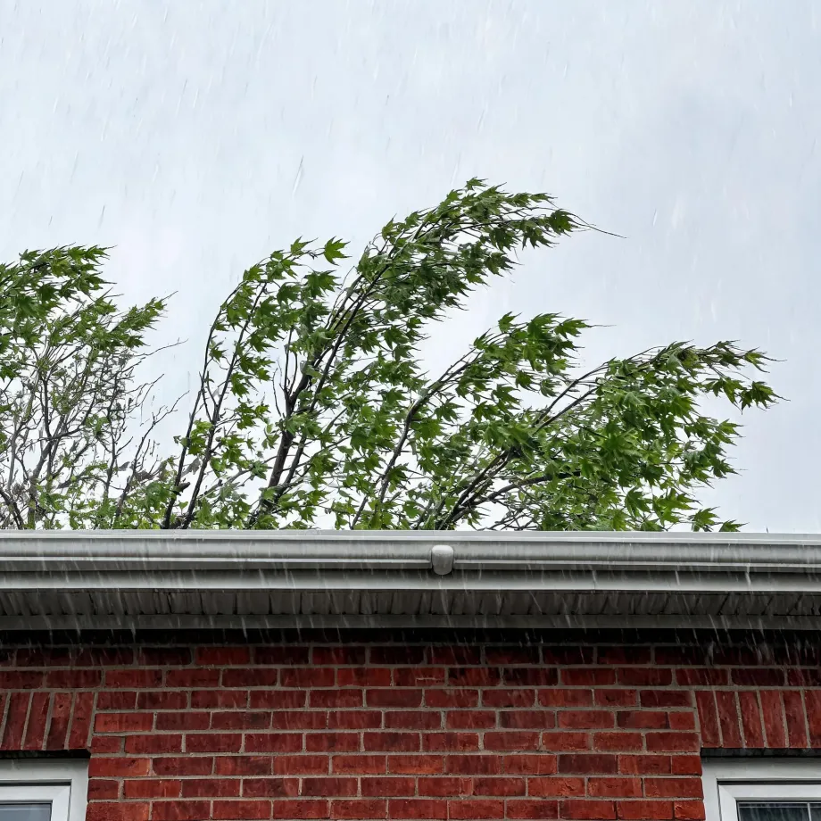 Heavy rain falls past the roofline and gutter of a red brick house, with wind-blown green maple branches behind it against an overcast sky.