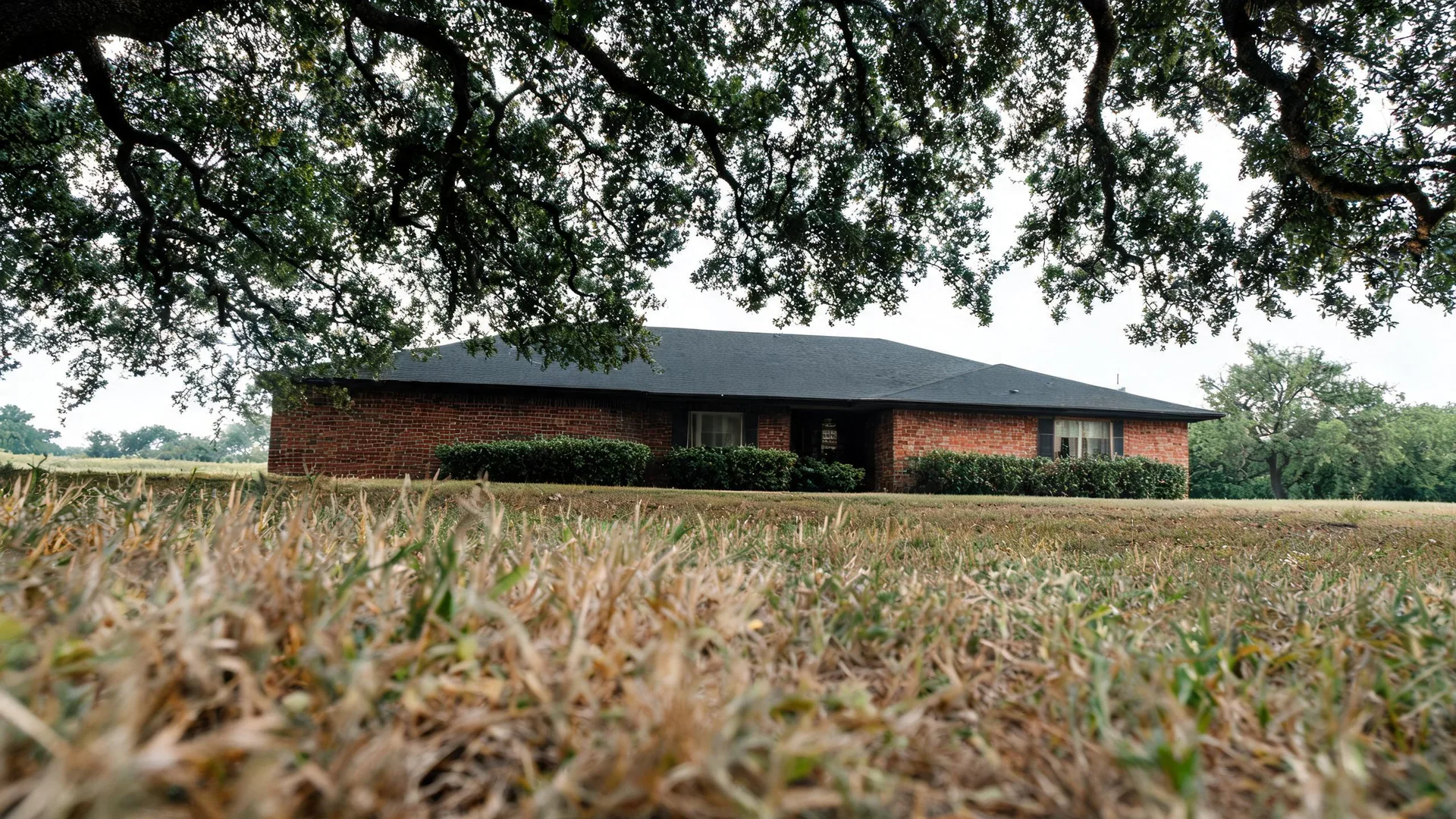 Single-story brick house with a dark shingled roof and trimmed shrubs, seen from a low angle across a dry lawn framed by overhanging tree branches.