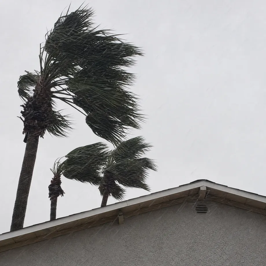 Palm trees bending in strong wind and rain against an overcast grey sky, above the stucco gable end and roofline of a building with a small vent.