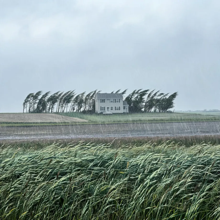 A white two-story house with a gray roof stands behind a row of wind-bent trees, with rain streaking over flat fields and tall grasses blown sideways in the foreground under an overcast sky.