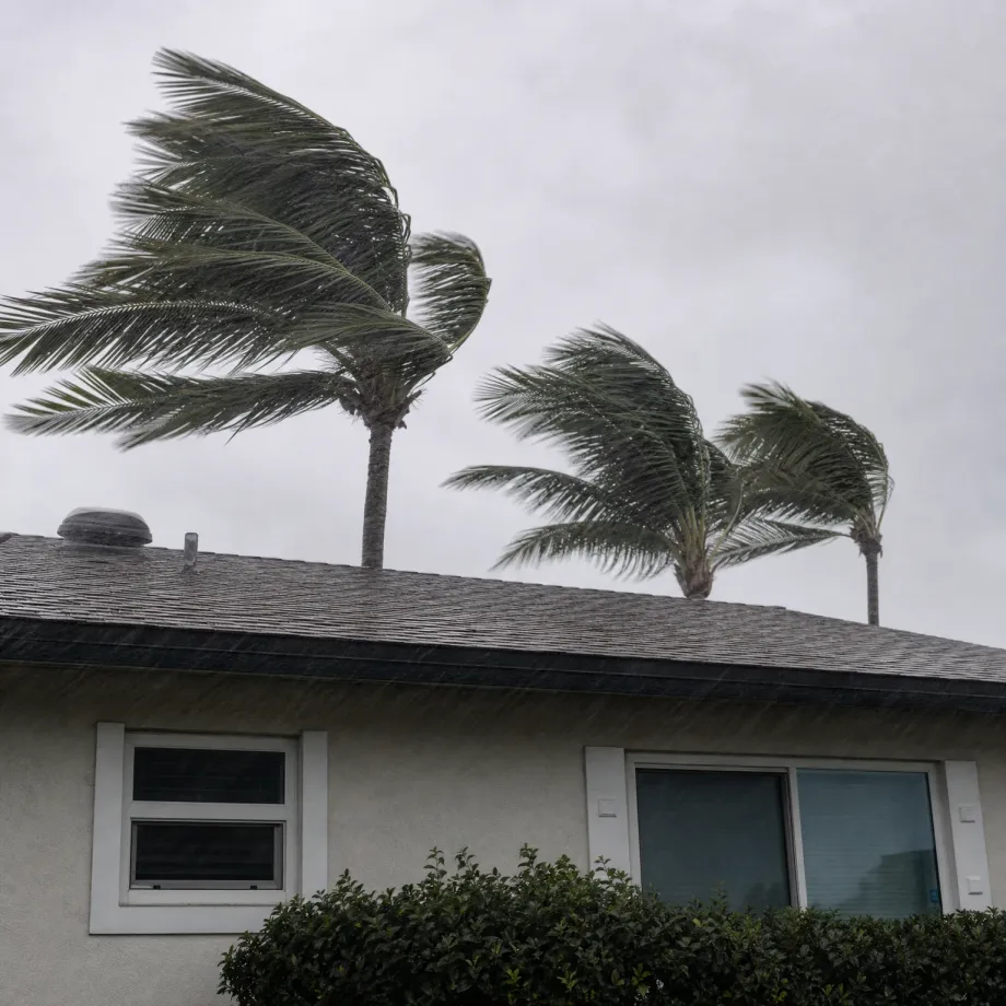 A single-story stucco house with a shingled roof and two windows, with rain falling and three wind-bent palm trees behind it against an overcast sky.