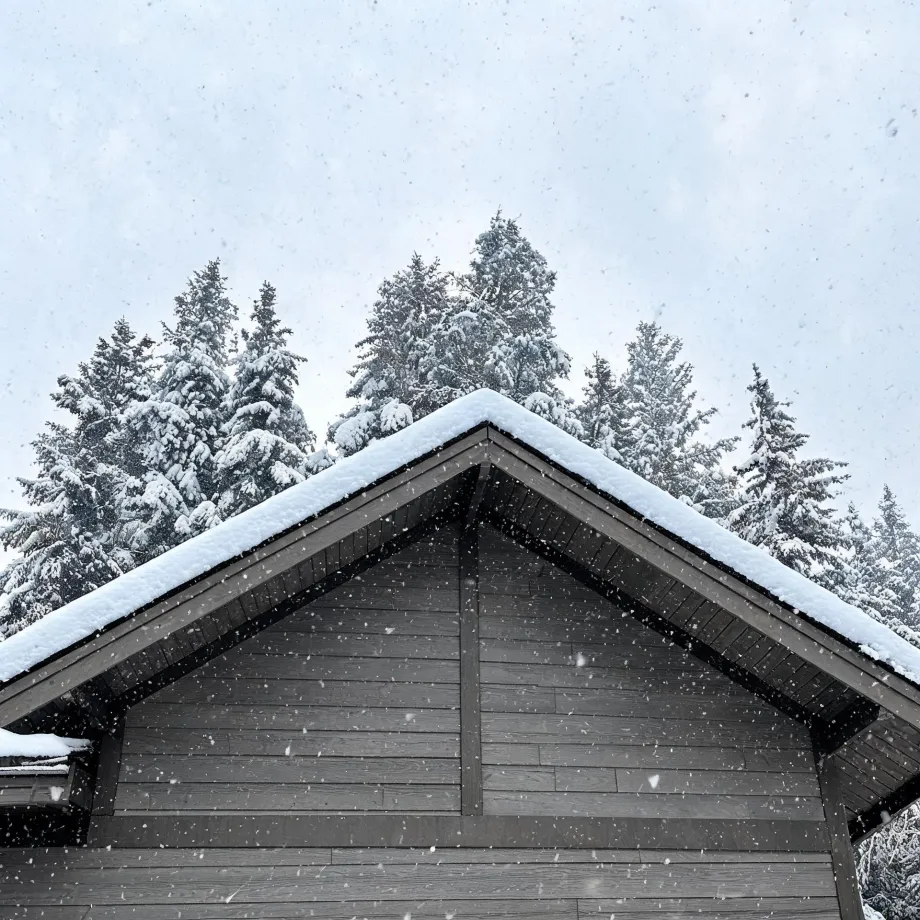Snow-covered gable roof and dark wood-clad upper wall of a building, with snow-laden conifers and falling snowflakes against a pale overcast sky.