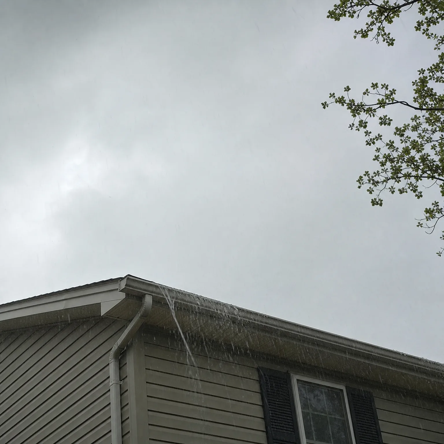 Upward view of the roof edge and gutter of a house with beige horizontal vinyl siding, water overflowing from the gutter near a downspout, under an overcast sky with a leafy tree branch at upper right.