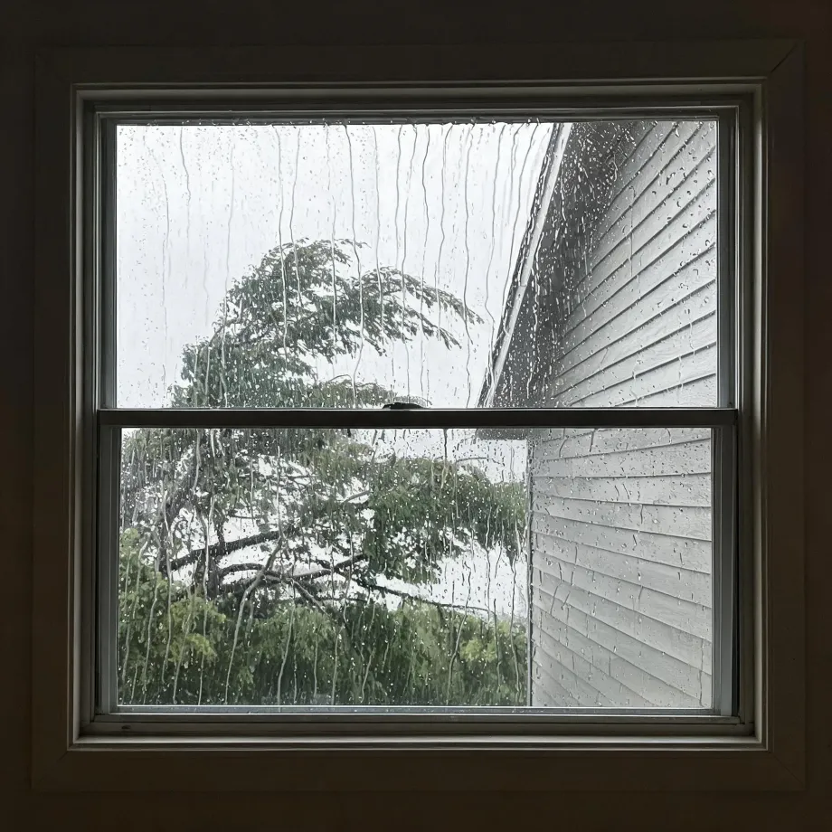 View through a rain-streaked double-hung window in a dark interior frame, showing a green leafy tree, an overcast sky, and the horizontal lap siding of an adjacent building.