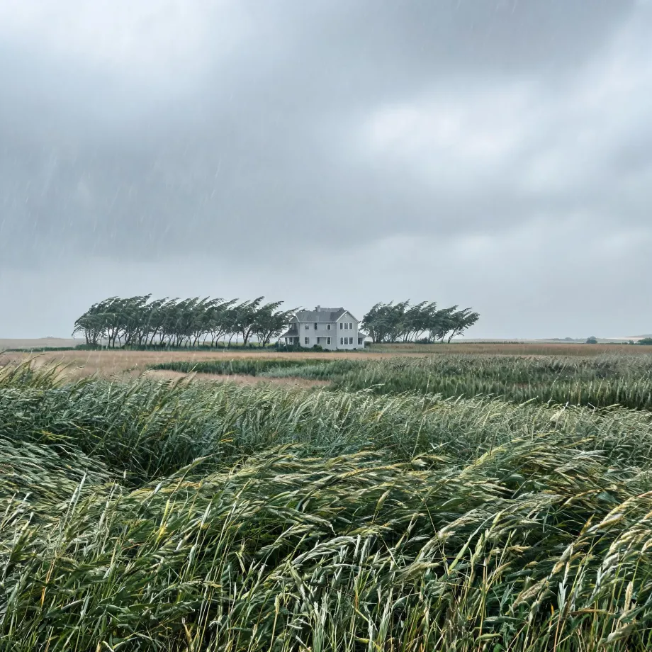 A white two-story house with a gray roof stands behind a row of wind-bent trees at the edge of flat farmland, with a green grain field flattened by wind in the foreground under a heavy gray sky with falling rain.