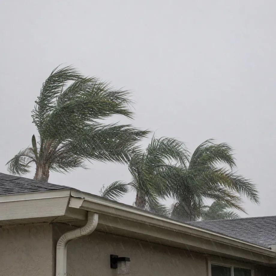 Palm trees bending in strong wind and rain behind a single-story stucco house with an asphalt shingle roof, gutter, downspout, and an exterior wall light, under a flat gray sky.