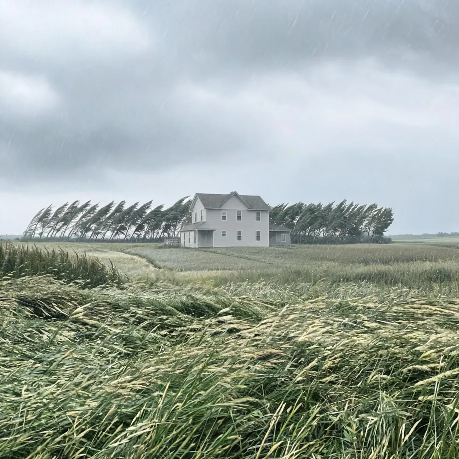 A white two-story farmhouse stands behind a row of wind-bent trees in a field of tall grass under a dark overcast sky with falling rain.