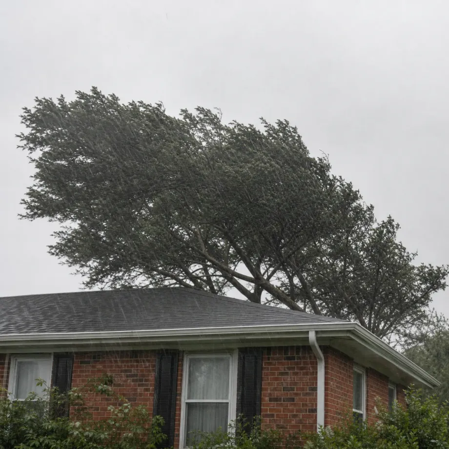 A single-story red brick house with a gray shingled roof and dark shutters, with a large wind-bent tree behind it under an overcast sky and heavy rain streaking the frame.