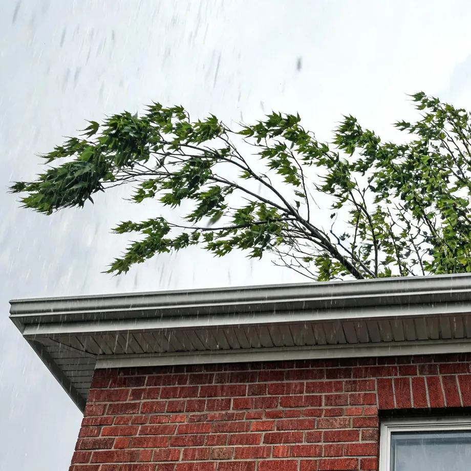 The corner of a red brick house with white gutters and soffit under a pale overcast sky, with rain streaks falling and a leafy tree branch bent by wind above the roofline.