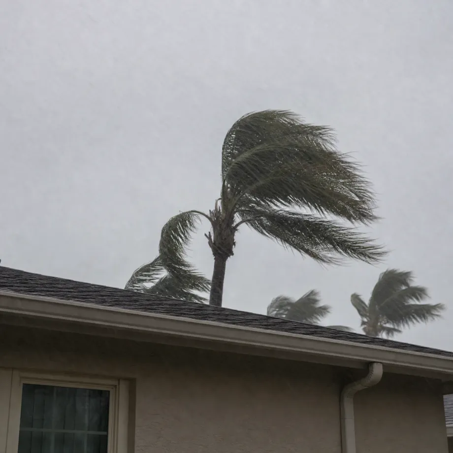 Palm trees bending in strong wind and rain behind the shingled roof and stucco wall of a single-story house under a gray sky.