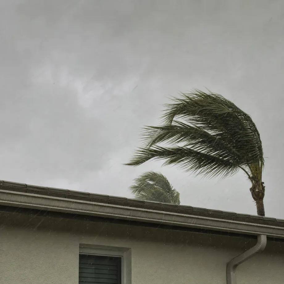A palm tree bends in wind behind the tiled roof edge and stucco wall of a single-story house under an overcast sky with falling rain, with a window and downspout visible below.