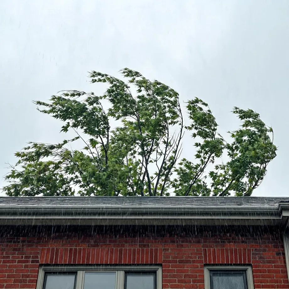 Rain falls past the shingled roof edge and gutter of a red brick building with windows below, while wind bends the green leafy branches of a tree against an overcast sky.