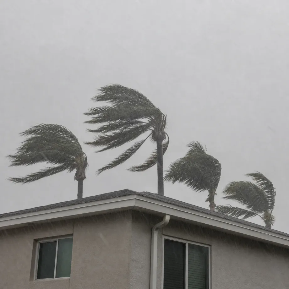 Upper corner of a stucco house with a shingled roof and two windows, with four palm trees bending in wind against a pale gray sky with visible rain streaks.