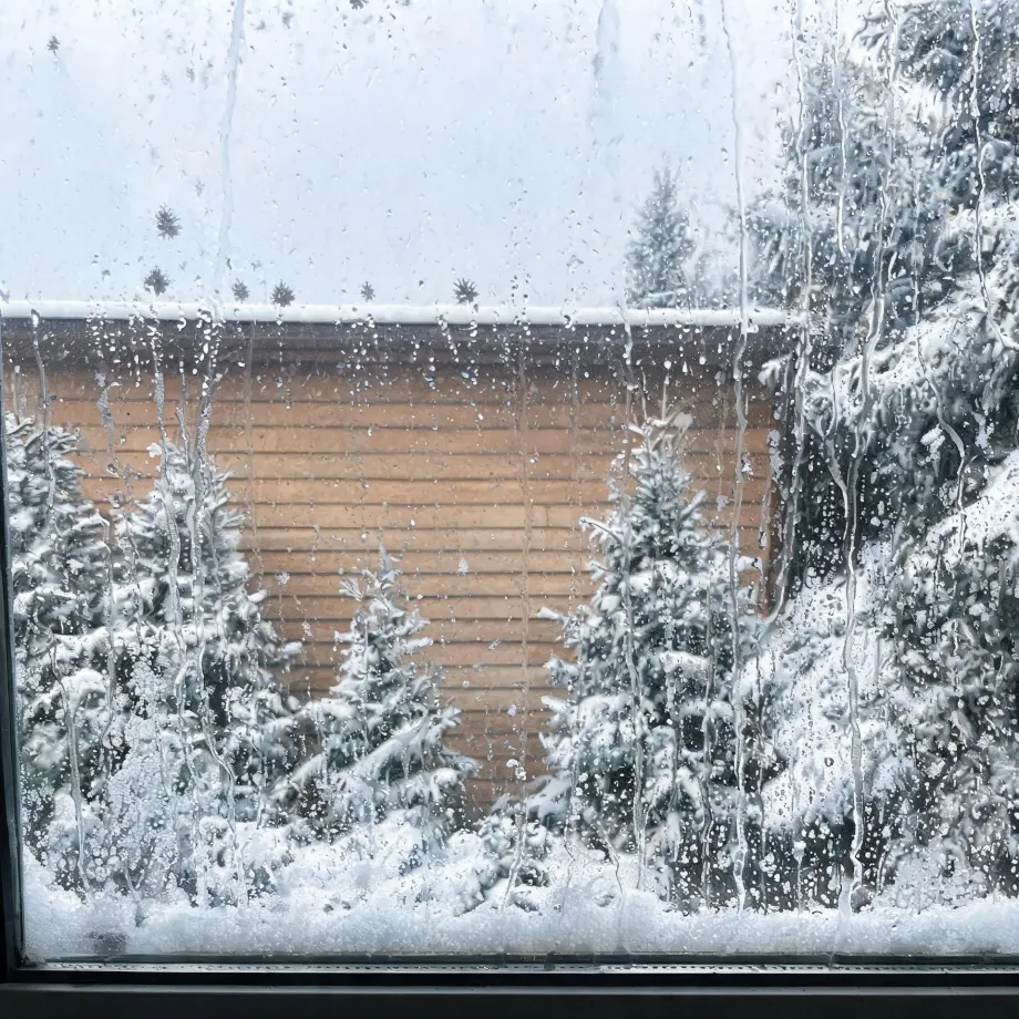 View through a wet, condensation-covered window of snow-laden conifer trees in front of a wood-clad building wall with a snow-topped roof edge.