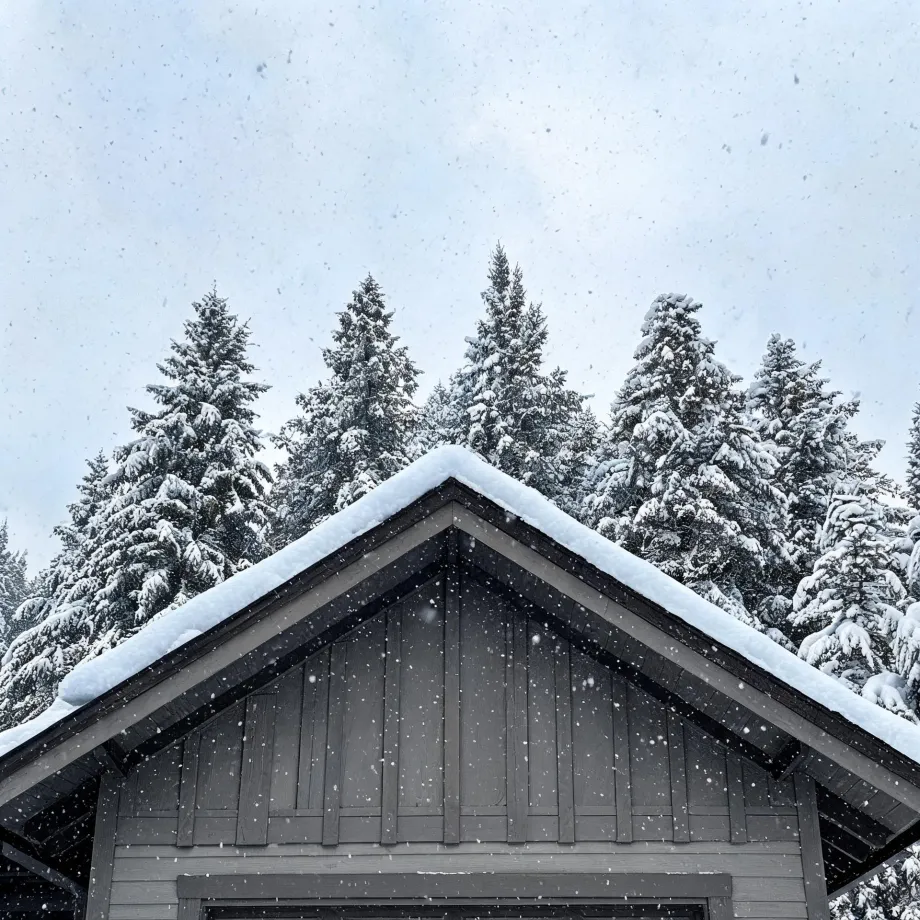 Snow-covered gable roof and gray vertical board siding of a building, with snow-laden conifers and falling snowflakes against an overcast sky.